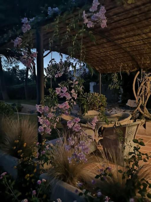 Casita De La Higuera Villa Jávea Eksteriør billede