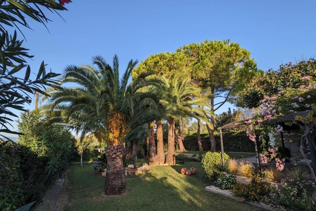 Casita De La Higuera Villa Jávea Eksteriør billede